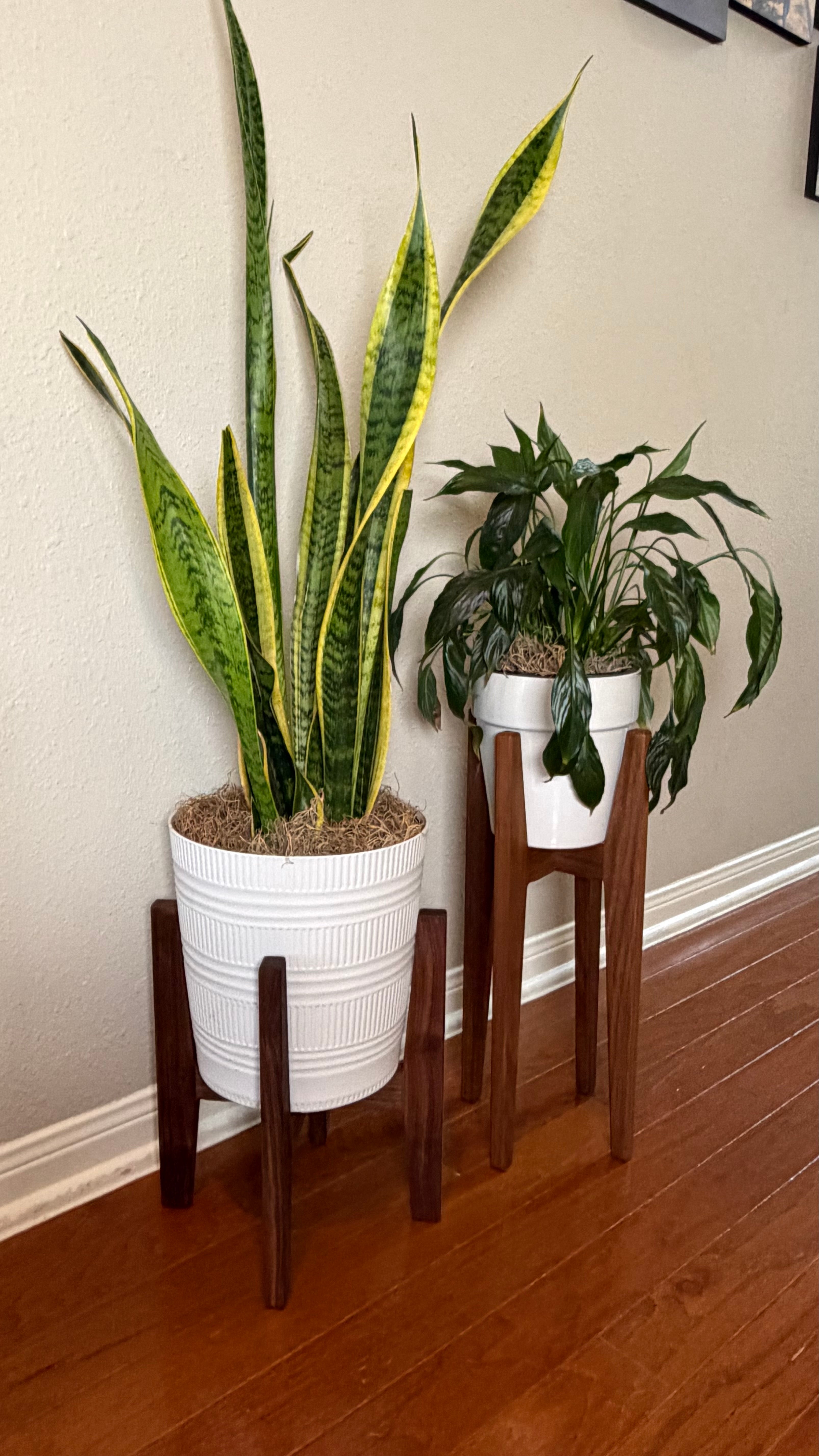 Plant Stand - Plans