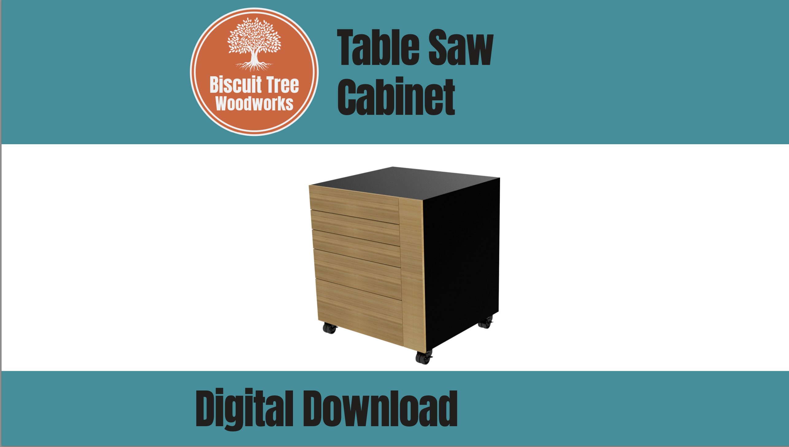 Table Saw Storage Cabinet - Plans